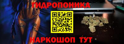 spice Брянск