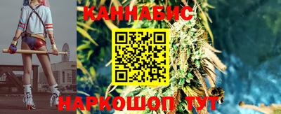 spice Брянск